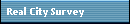 Real City Survey